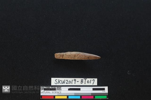 魚卡子藏品圖，第1張