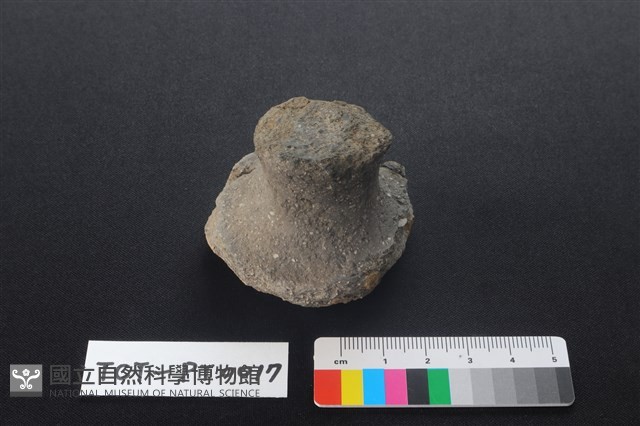 陶蓋鈕藏品圖，第1張