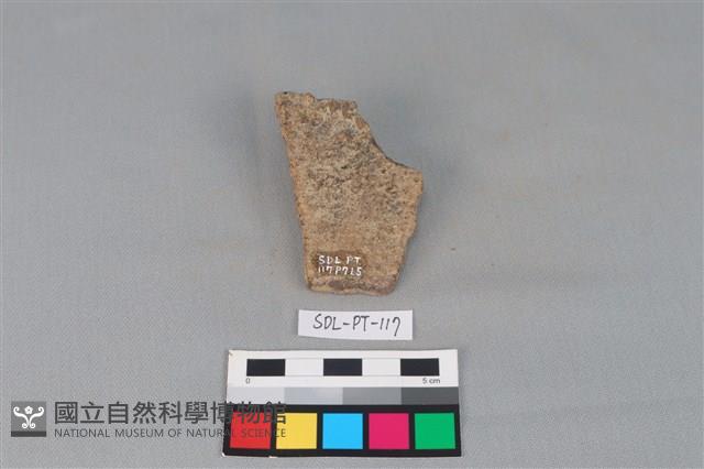 陶片藏品圖，第1張