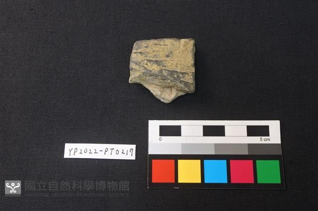 陶片藏品圖，第1張