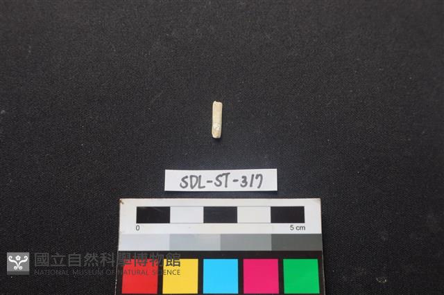 玉飾藏品圖，第1張