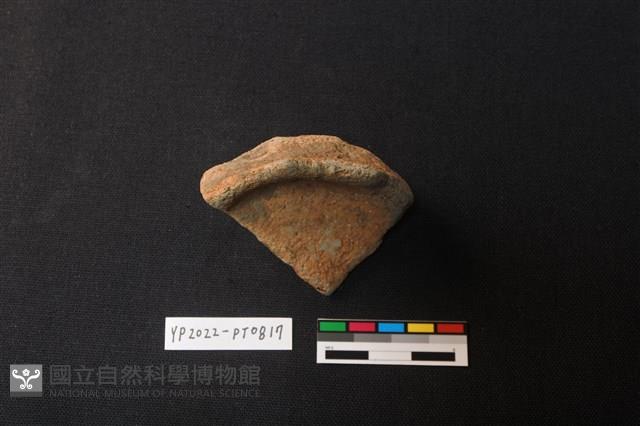 陶片藏品圖，第1張