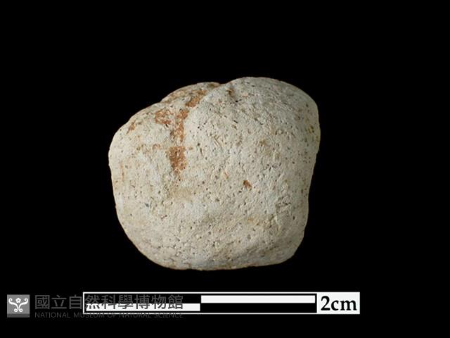 Accession Number:LL-PO17 Collection Image, Figure 1, Total 2 Figures