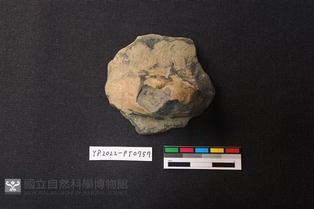 陶片藏品圖，第1張