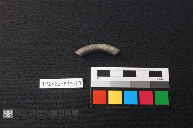 陶環藏品圖，第1張