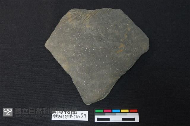 陶片藏品圖，第1張