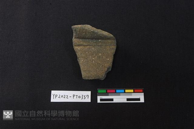陶片藏品圖，第1張