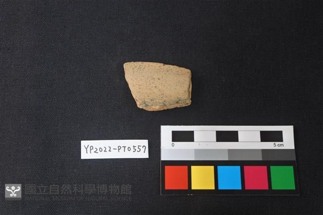 陶片藏品圖，第1張