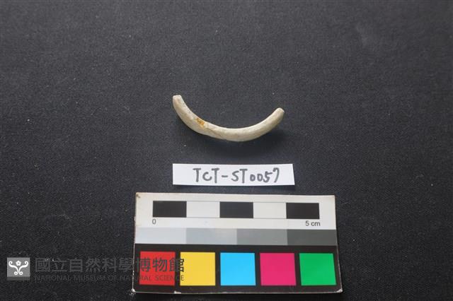 玉玦藏品圖，第1張