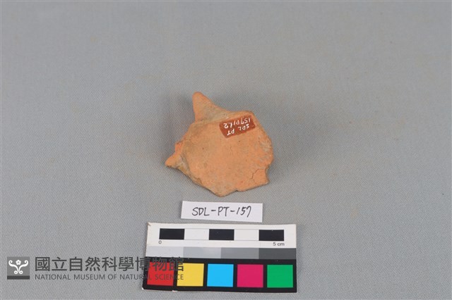 連杯形器藏品圖，第1張