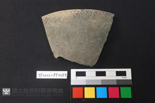 陶片藏品圖，第1張