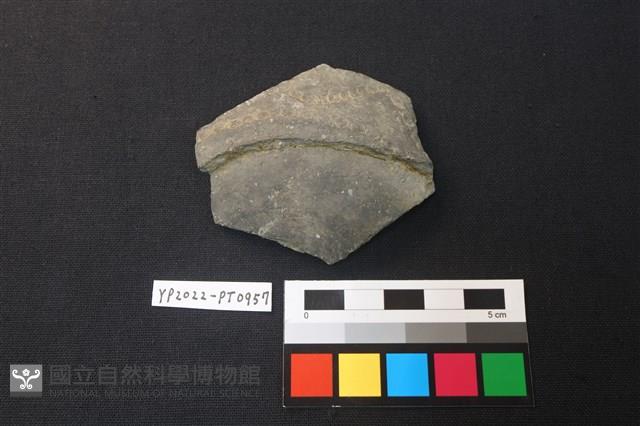 陶片藏品圖，第1張