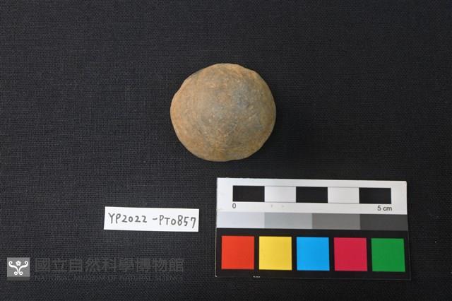 陶鈕藏品圖，第1張