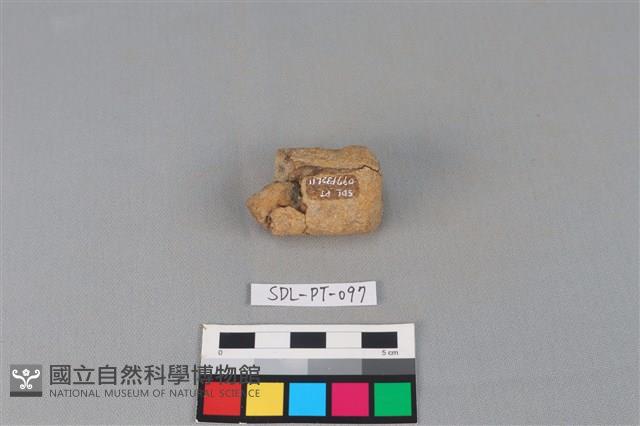 陶把藏品圖，第1張