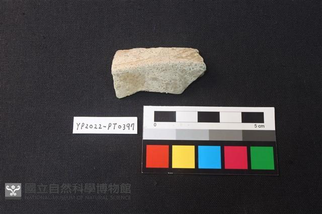 陶片藏品圖，第1張