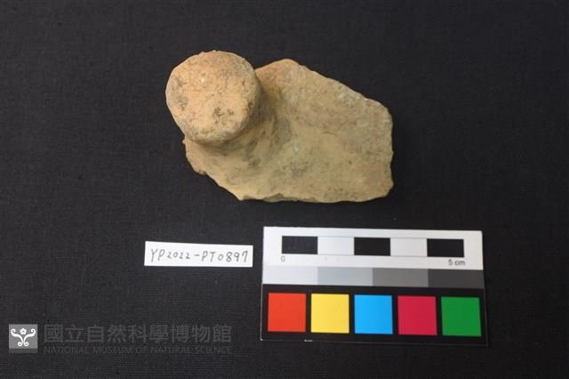 陶蓋鈕藏品圖，第1張
