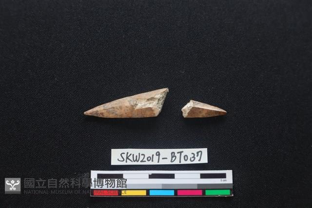 魚卡子藏品圖，第1張