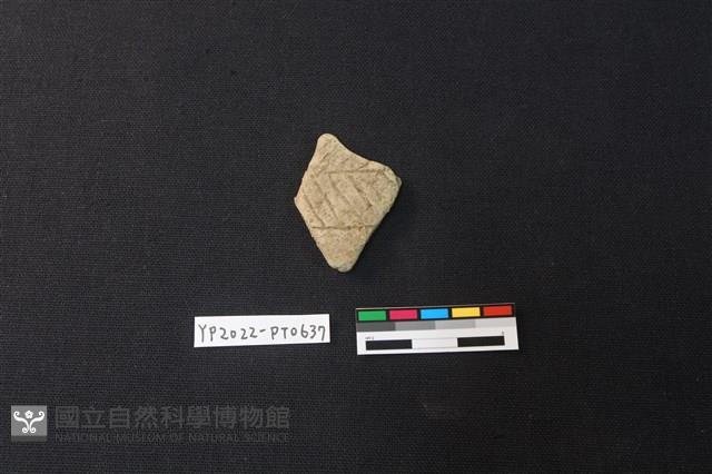 陶片藏品圖，第1張