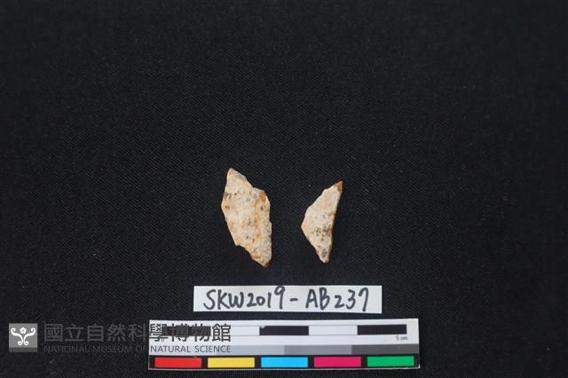 獸骨藏品圖，第1張