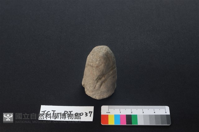 陶蓋鈕藏品圖，第1張
