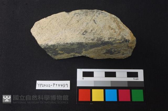 陶片藏品圖，第1張