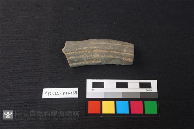 陶片藏品圖，第1張