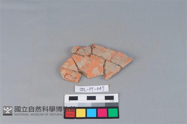 Accession Number:SDL-PT-047 Collection Image, Figure 1, Total 2 Figures