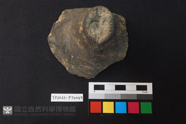 覆碗型陶蓋藏品圖，第1張
