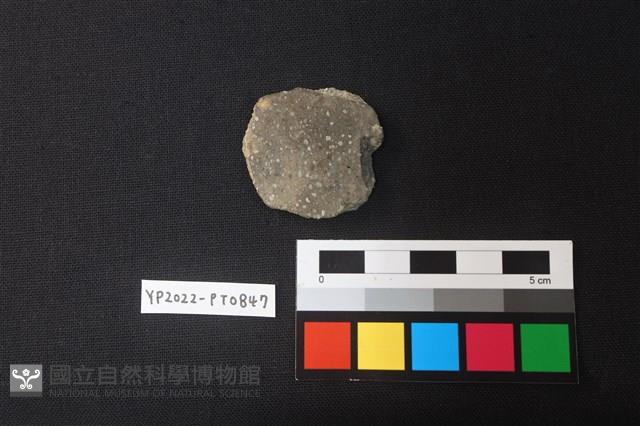 小圓板藏品圖，第1張