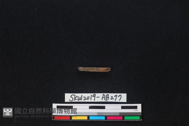 獸骨藏品圖，第1張