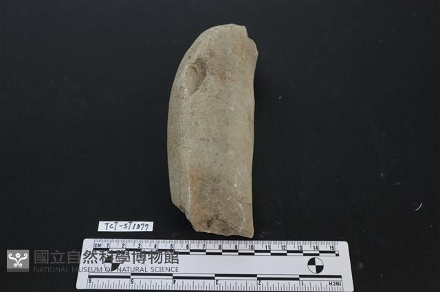 石鎚藏品圖，第1張