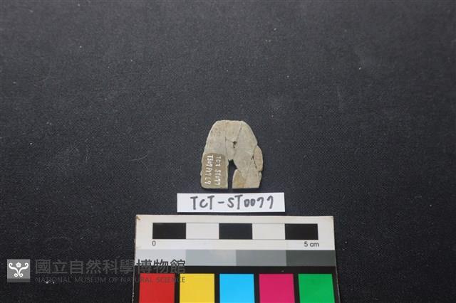 矛鏃形器藏品圖，第1張