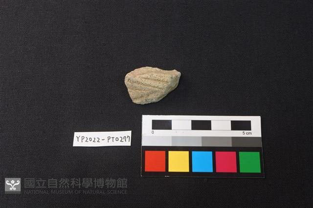 陶片藏品圖，第1張