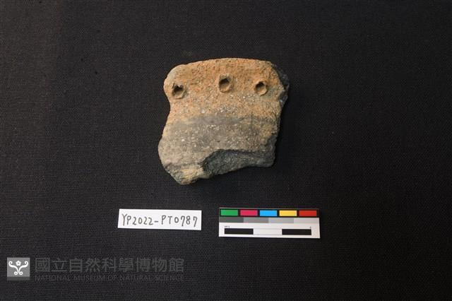陶片藏品圖，第1張