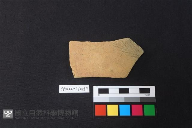 陶片藏品圖，第1張
