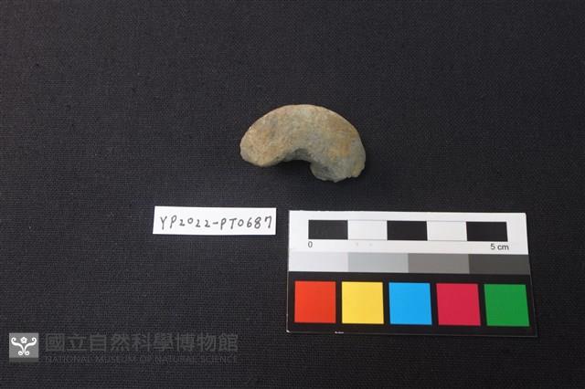 陶紡輪藏品圖，第1張