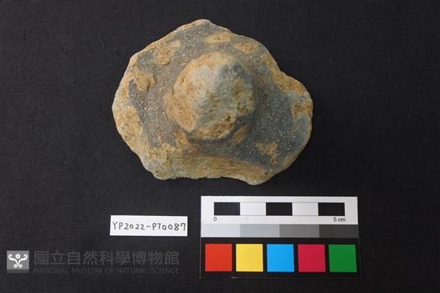 碗/淺盤型陶蓋藏品圖，第1張