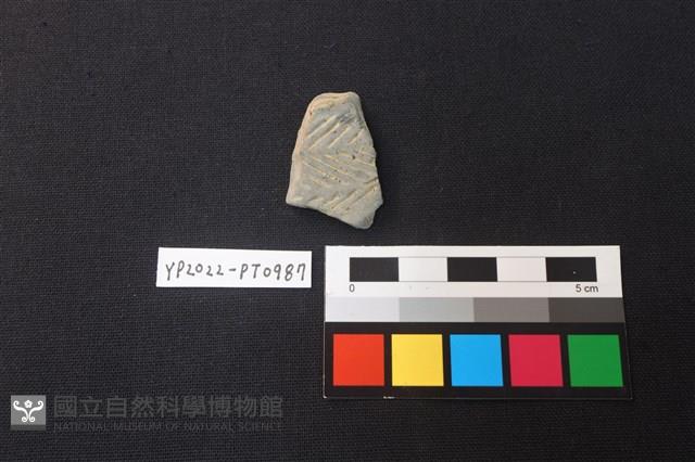 陶片藏品圖，第1張