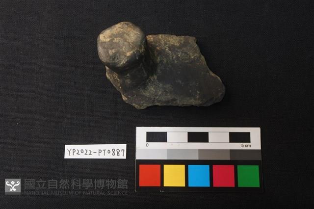 陶蓋鈕藏品圖，第1張