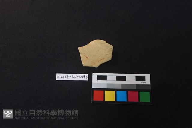 陶片藏品圖，第1張
