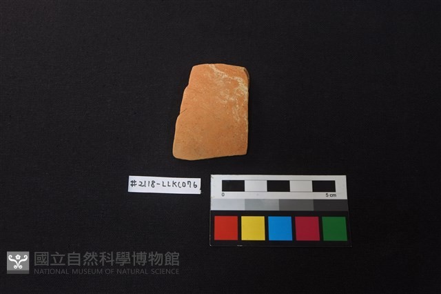 陶片藏品圖，第1張