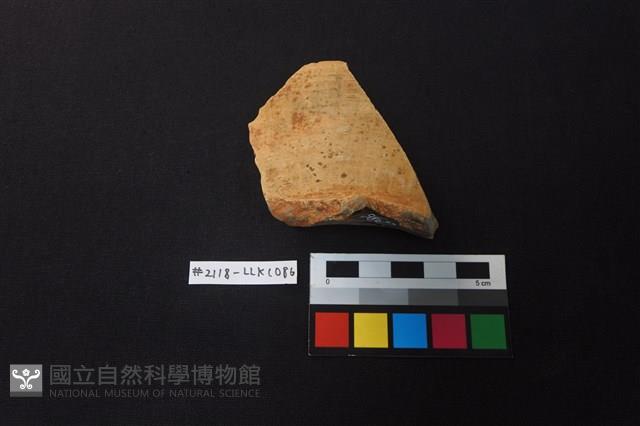 陶片藏品圖，第1張