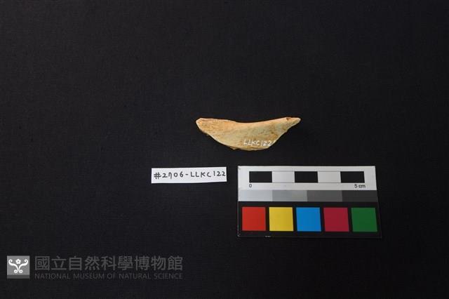 Accession Number:LLKC122 Collection Image, Figure 1, Total 2 Figures