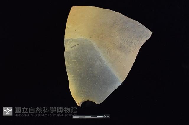 陶甑藏品圖，第1張