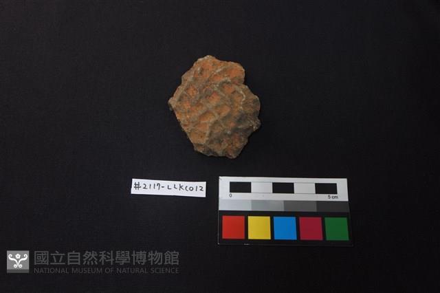 陶片藏品圖，第1張