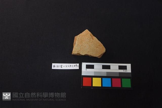 陶片藏品圖，第1張