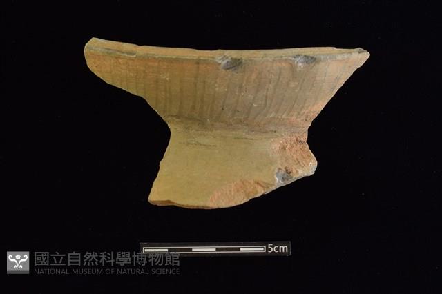 陶罐藏品圖，第1張