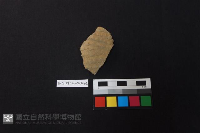 陶片藏品圖，第1張