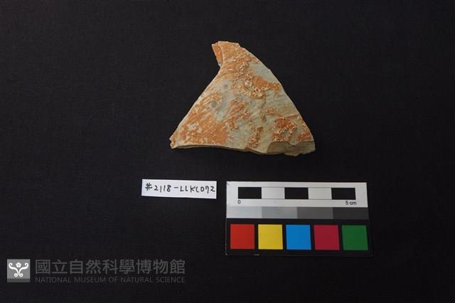 陶片藏品圖，第1張