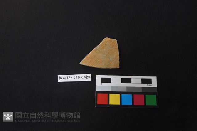 陶片藏品圖，第1張